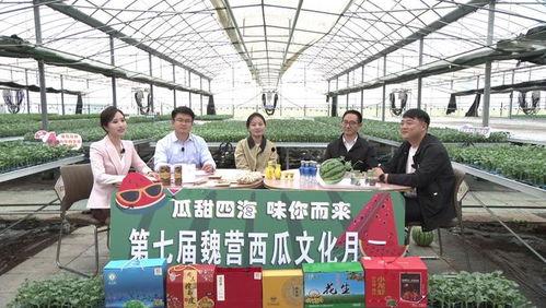 5吃瓜群众网,网络舆论场的新势力崛起