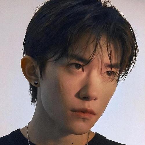 明星的照片男性头像,揭秘明星男性头像背后的风采