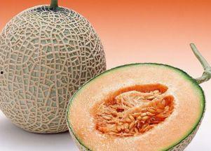 陈昊宇吃哈密瓜,陈昊宇畅享哈密瓜美味时光