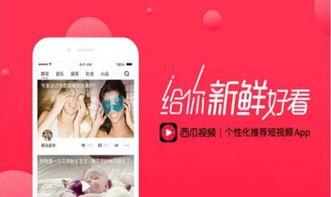 头条看西瓜视频免流量吗