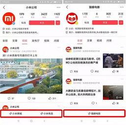 头条小程序看电影要钱吗,看电影真的免费吗？揭秘费用真相