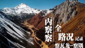 网红丙察察,网红之路的探险与蜕变