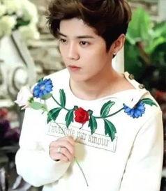 爆料鹿晗杨幂视频,幕后真相令人震惊