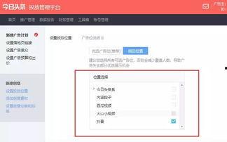 怎么选头条原创文章,揭秘高效筛选技巧