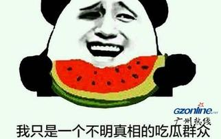 吃瓜表情的意思和含义,网络热词背后的趣味与内涵