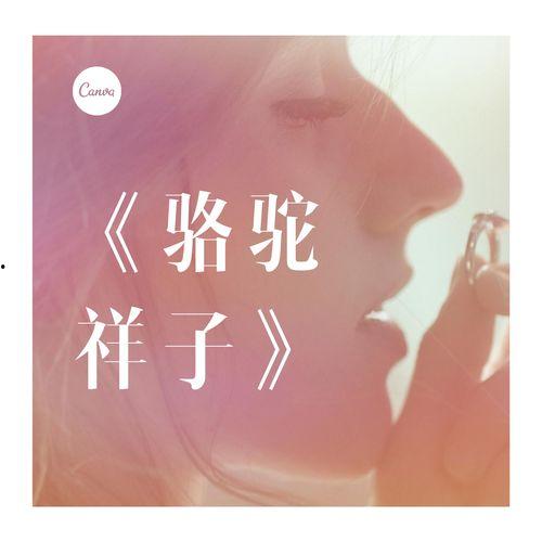 娱乐吃瓜开场白和结束语,吃瓜群众的开场白与结束语